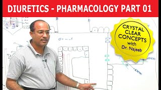 Diuretics  Pharmacology  Part 13 [upl. by Agiaf]