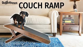 Introducing the DoggoRamps COUCH Ramp for Dogs [upl. by Hpesojnhoj481]