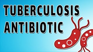 Tuberculosis  tuberculosis Pathophysiology  tuberculosis depth of biology  tuberculosis Nursing [upl. by Leake]