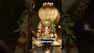 Kelakkiyar Siddhar devotional Tamil song trending short [upl. by Lav]