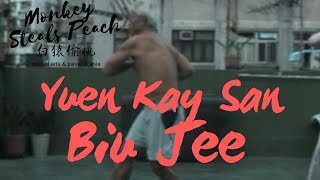 Yuen Kay San style Wing Chun  Biu Jee by Kwok Wan Ping [upl. by Nnil]