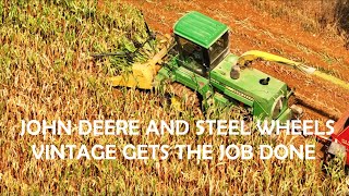 OLD ORDER MENNONITE HarvestSteel Wheeled JOHN DEERE 5830 Forage HarvesterChopping 35 Years Later [upl. by Goldi]