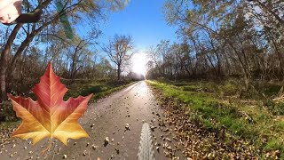 🚴🍁 Colourfull Autumn Gravel Bike Ride in November  Virtual Cycling [upl. by Edlyn]