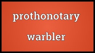 Prothonotary warbler Meaning [upl. by Nevuer39]