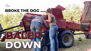 HELP  the MASSEY is DOWN  Replacing Hay Dog Springs hayseason [upl. by Ahsile]