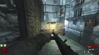 This World at War Der Riese Glitch Broke The Wunderwaffe [upl. by Telracs]