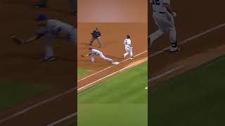 Top 10 WTF Moments in the MLB Part 2 mlb baseball [upl. by Ythomit]