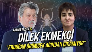 Erdoğan Örümcek Ağından Çıkamıyor  Dilek Ekmekçi amp Ahmet Nesin [upl. by Ecyob]