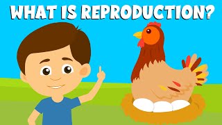 ReproductionTypes of reproductionReproduction in plants and animalsVideo for Kids [upl. by Eillor359]