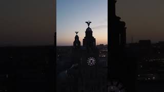 Liver Birds on the Royal Liver Building in Liverpool [upl. by Yard986]