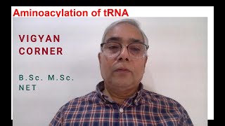 AMINOACYLATION OF tRNA [upl. by Katherin166]