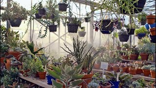 Mohonk Mountain House Greenhouse [upl. by Busiek]