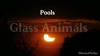 PoolsGlass Animals Lyrics [upl. by Aisset68]