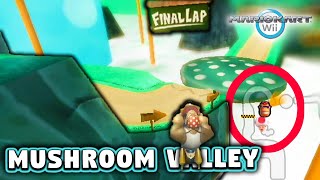 Mario Kart Wii Custom Track Troy vs Mushroom Valley [upl. by Dralliw232]