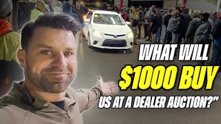 There are SO MANY CHEAP CARS at this Dealer Auction in Florida [upl. by Nnylrats811]