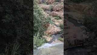 Mesmerizing Waterfalls Near to Gandikota Fort 🌊  Natures Hidden Gem 🌄 [upl. by Jayne838]