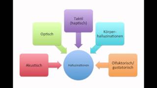 Lernvideo 5 Wahrnehmungsstörungen und Sinnestäuschungen [upl. by Afas]