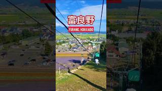 Two of our favorite destinations in Hokkaido Biei and Furano ofwblog japanvlog hokkaido japan [upl. by Eugen758]