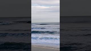 BOSCOMBE SURF REEF BREAKING TODAY 👀 bournemouth [upl. by Ahseiuqal]