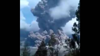 VIDEO AMATIR MELETUSNYA GUNUNG BARU JARI LOMBOK [upl. by Hgielime383]