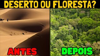 Floresta no Saara A ideia que pode mudar o mundo [upl. by Pack]