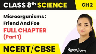 Class 8 Science Chapter 2  Microorganisms  Friend And Foe  Full Chapter Explanation Part 1 [upl. by Siron836]