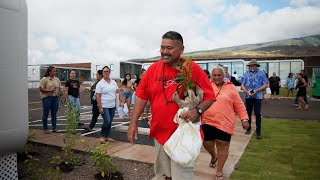 Ka Laʻi Ola Blessing [upl. by Alathia]