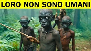 Scoperta Spaventosa In Congo Che Ha Terrorizzato Il Mondo [upl. by Agarhs]