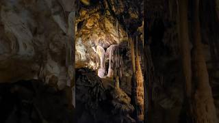 Lehman Caves Tours  Great Basin National Park nature nationalpark travel [upl. by Ennasor]