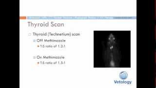 Feline Hyperthyroidism The Disease Imaging amp Treatment with Seth Wallack DVM DACVR [upl. by Tram]