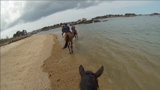 Balades à cheval sur la plage Gopro hero 3 [upl. by Creedon]