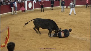 Zaragoza – Mañana vaquillera 06102024 – Nº2Alegría – quotSantos Zapateríaquot – HD [upl. by Aerahs]