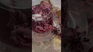 HOMEMADE WINE HOME MADE SORREL WINE Jamaican style 🇯🇲 [upl. by Cayser975]