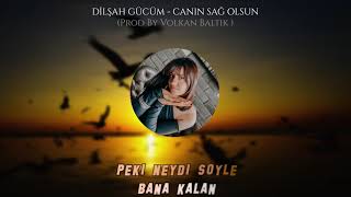 DİLŞAH GÜCÜM  TALADRO  CANIN SAĞ OLSUN COVER Prod By Volkan Baltık [upl. by Amikan315]