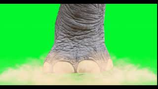 Elephant Foot Stomping With Sound  FREE [upl. by Dearborn816]