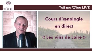 COURS DOENOLOGIE  LES VINS DE LOIRE  Devenez incollable [upl. by Dlabihcra994]