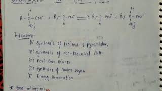 Transamination amp Deamination [upl. by Dnanidref]