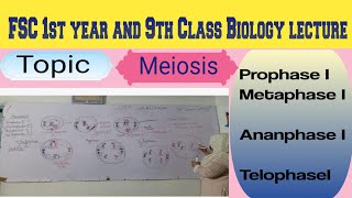 Topic Meiosis Prophase Metaphase 1 Anaphase 1 Telophase 1 delivered by Maam Samina Khuram 👍 [upl. by Ocisnarf131]