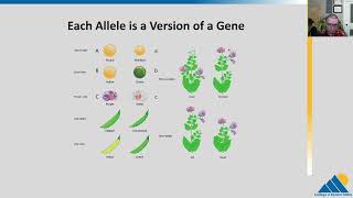 BIOL201 Ch111  The Process of Meiosis [upl. by Egon]