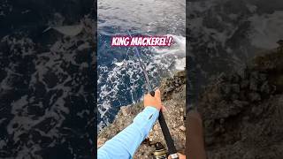 Shore Jigging ile efsane bir ceylan palamutu King Mackerel  tolgaçalım keşfet shorts fish [upl. by Tiedeman]