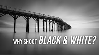 5 Beginner Black amp White Photography Tips [upl. by Tildi608]