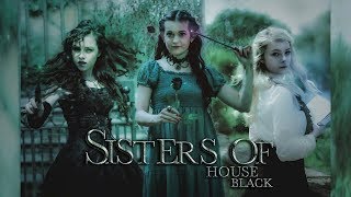 Sisters of House Black All Character Trailers Indiegogo concept [upl. by Anotal648]