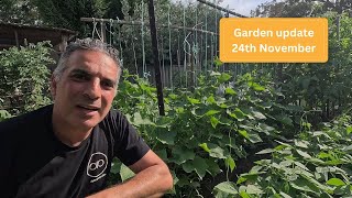 This weeks garden update  24th November [upl. by Urata]