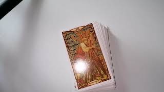 LEU 1631 octombrie 2024 Horoscop și tarot zilnic [upl. by Nocaed]