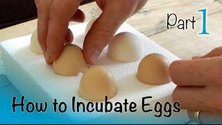 How to Incubate and Hatch Eggs  Part 1 of 3  Setting up the Incubator [upl. by Susanne]