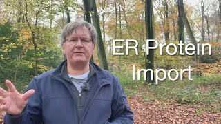 Understanding the Endoplasmic Reticulum Rough vs Smooth ER and Protein Import [upl. by Eseilana825]