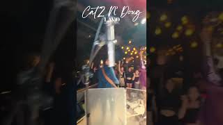 CATZ N’ DOUG only at LAVO LIVE amp VINYL nocopyrightmusic [upl. by Kerad556]