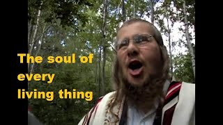 The Soul of Every Living Thing  Rabbi Yonassan Gershomwmv [upl. by Thaddeus761]