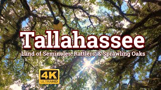 Tallahassee  Land of Seminoles Rattlers and Sprawling Oaks [upl. by Coward798]