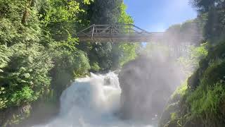 Tumwater Falls Washington [upl. by Jordon]